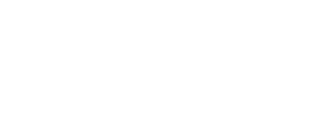 Surveillance Systems